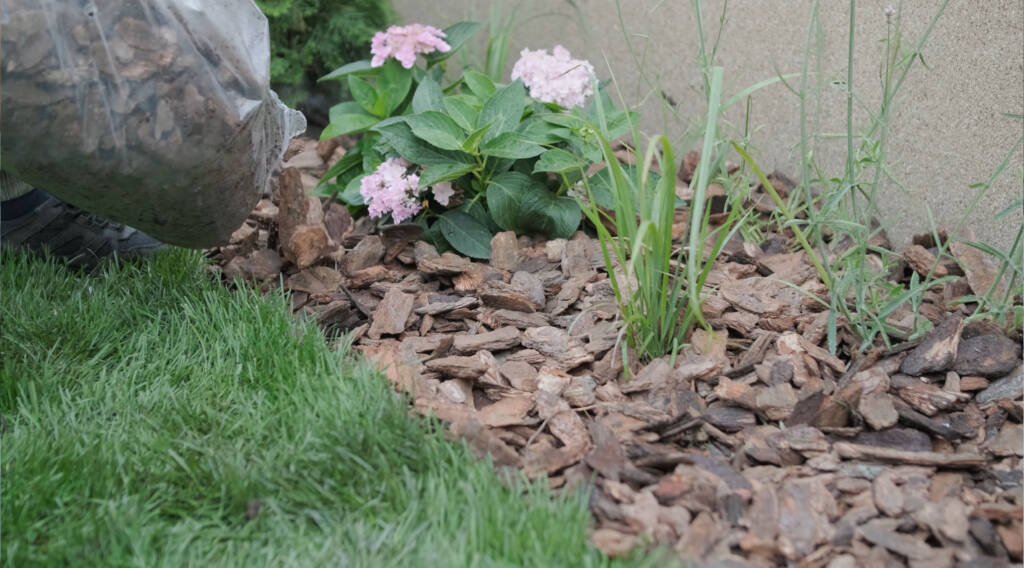 Mulchen Pflanzen Gartenpflege Service Berlin Brandenburg