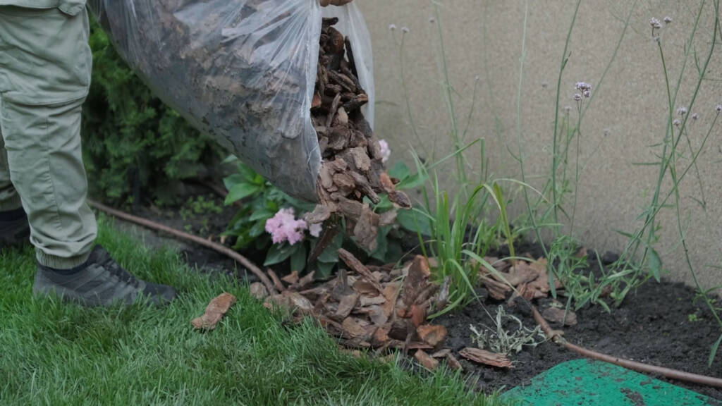 Stauden Pflanzen Mulchen Rasano Gartenservice Berlin Brandenburg