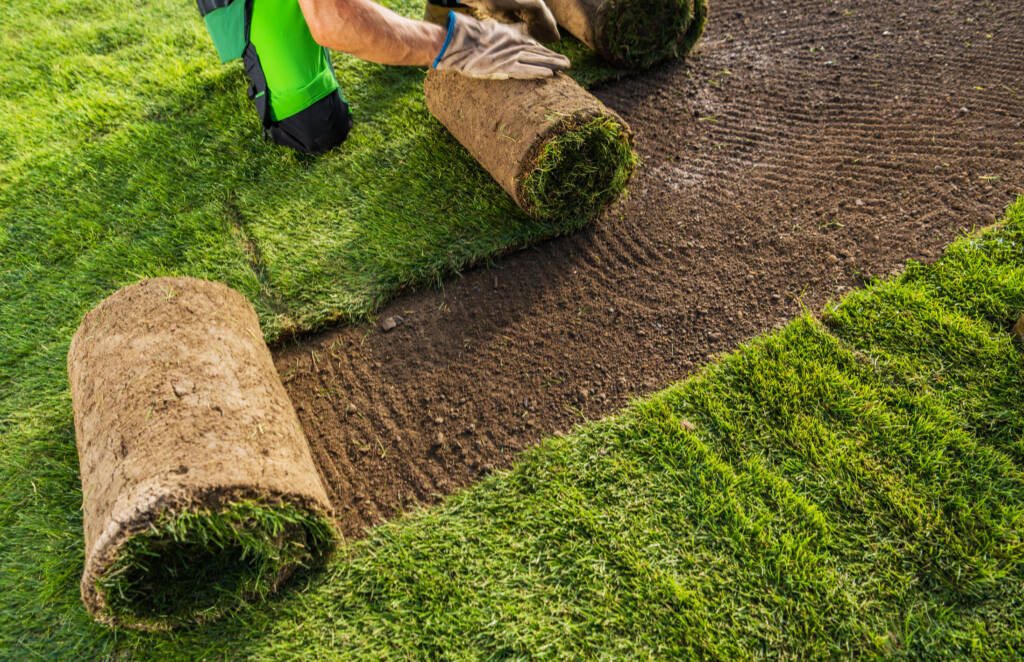 Gartenpflege Service Rollrasen Verlegen in Werder beim Kunden