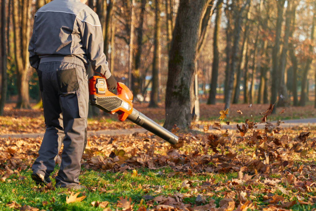 Laubentsorgung Gartenpflege Service Berlin Brandenburg