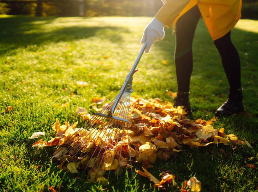 Rasenpflege im Herbst 7 Fehler die jeder macht