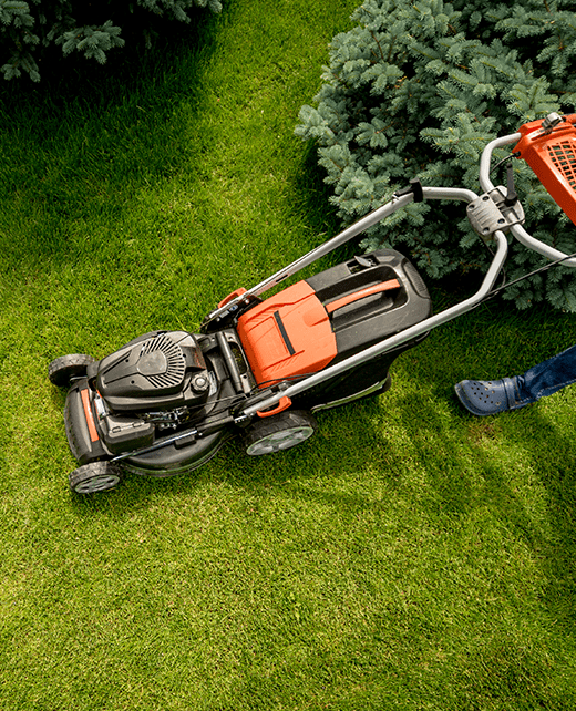 Rasen Mähen Gartenpflege Berlin Ludwigsfelde Rasen Mähen Gartenpflege Berlin Ludwigsfelde